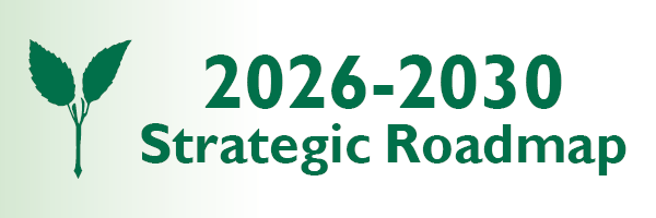 2026-2030 Strategic Roadmap